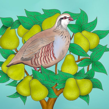 1st Day of Christmas